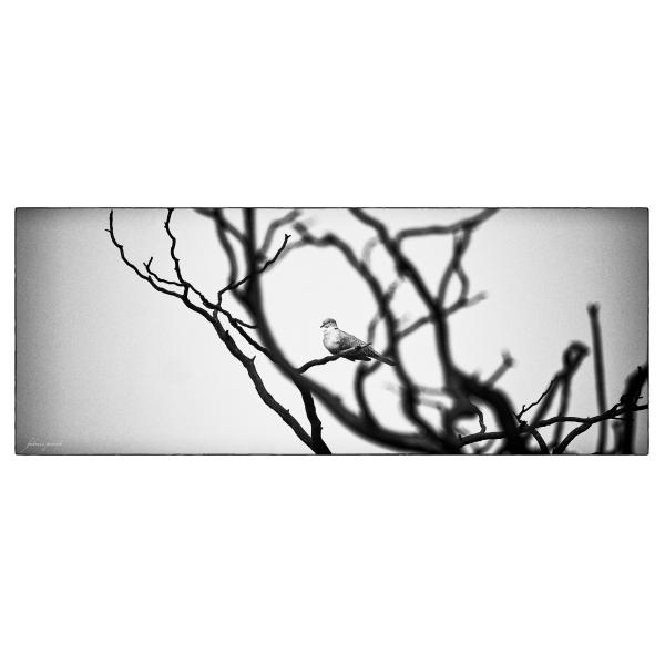 PHOTO84, CLUB, 84 , LUBERON